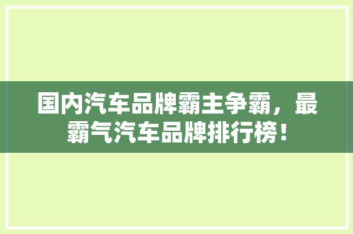 国内汽车品牌霸主争霸，最霸气汽车品牌排行榜！