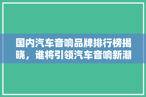 国内汽车音响品牌排行榜揭晓，谁将引领汽车音响新潮流