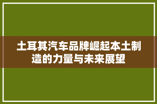 土耳其汽车品牌崛起本土制造的力量与未来展望