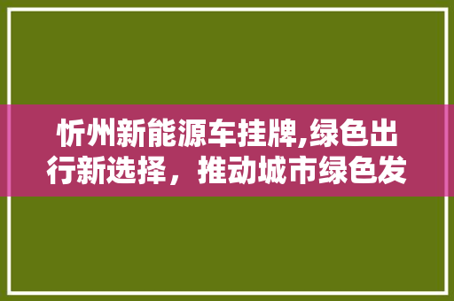 忻州新能源车挂牌,绿色出行新选择，推动城市绿色发展