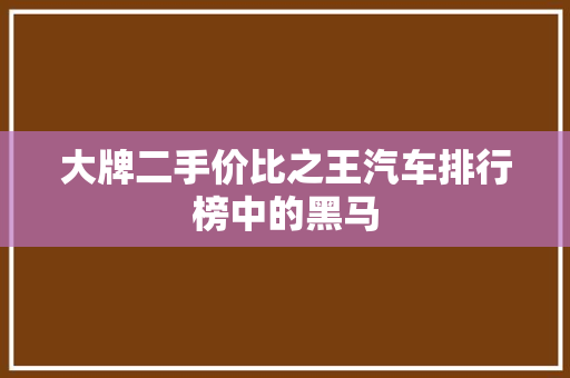 大牌二手价比之王汽车排行榜中的黑马