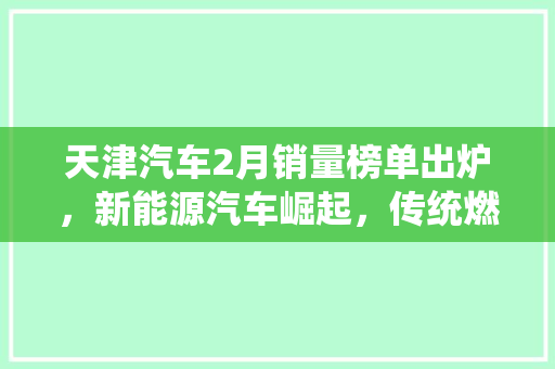 天津汽车2月销量榜单出炉，新能源汽车崛起，传统燃油车面临挑战
