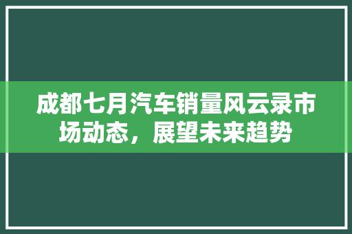 成都七月汽车销量风云录市场动态，展望未来趋势