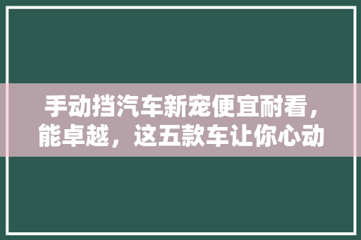 手动挡汽车新宠便宜耐看，能卓越，这五款车让你心动不已