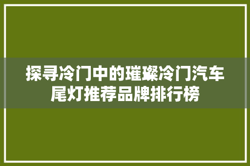 探寻冷门中的璀璨冷门汽车尾灯推荐品牌排行榜