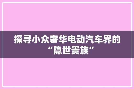 探寻小众奢华电动汽车界的“隐世贵族”