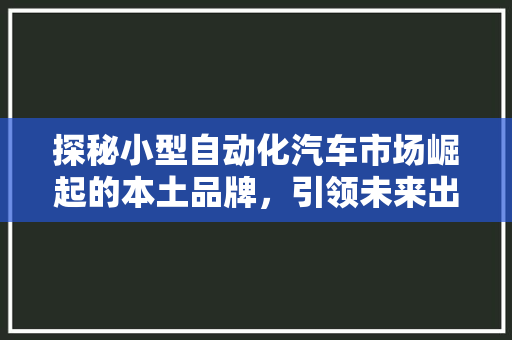 探秘小型自动化汽车市场崛起的本土品牌，引领未来出行潮流