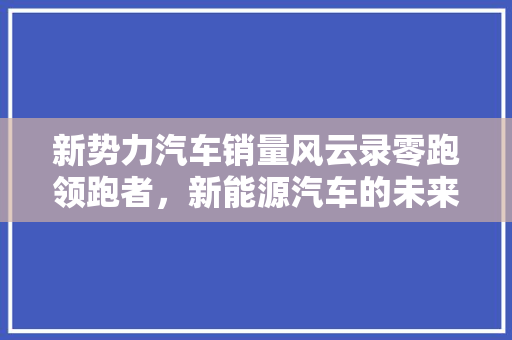 新势力汽车销量风云录零跑领跑者，新能源汽车的未来之星