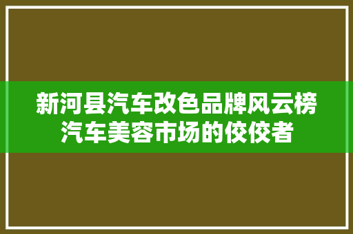 新河县汽车改色品牌风云榜汽车美容市场的佼佼者