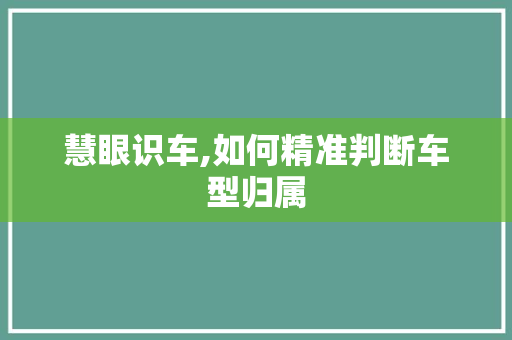 慧眼识车,如何精准判断车型归属