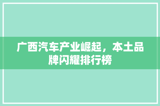 广西汽车产业崛起，本土品牌闪耀排行榜