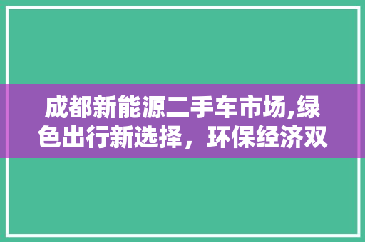 成都新能源二手车市场,绿色出行新选择，环保经济双赢之路