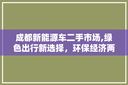 成都新能源车二手市场,绿色出行新选择，环保经济两不误