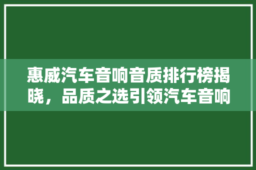 惠威汽车音响音质排行榜揭晓，品质之选引领汽车音响新潮流