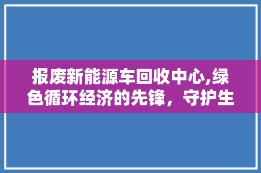 报废新能源车回收中心,绿色循环经济的先锋，守护生态文明的使者