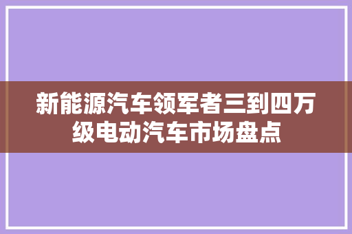 新能源汽车领军者三到四万级电动汽车市场盘点
