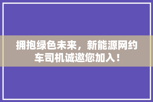 拥抱绿色未来，新能源网约车司机诚邀您加入！