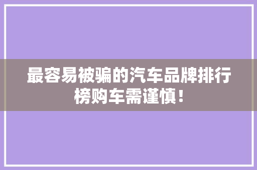 最容易被骗的汽车品牌排行榜购车需谨慎！