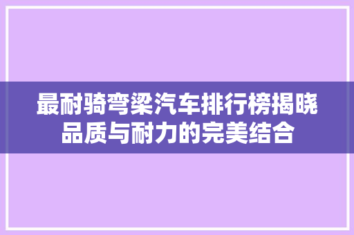 最耐骑弯梁汽车排行榜揭晓品质与耐力的完美结合