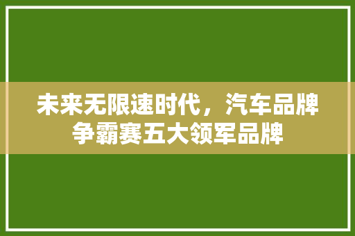 未来无限速时代，汽车品牌争霸赛五大领军品牌