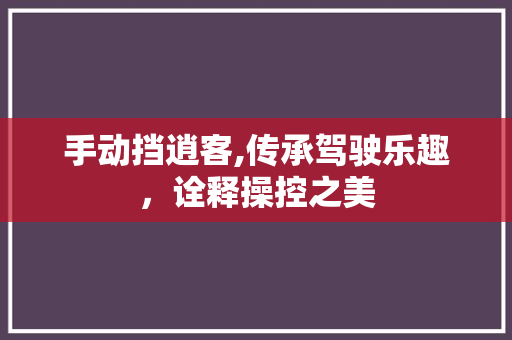 手动挡逍客,传承驾驶乐趣，诠释操控之美