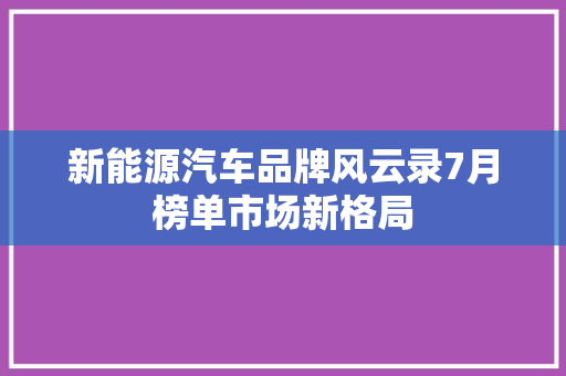 新能源汽车品牌风云录7月榜单市场新格局