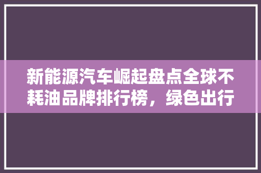 新能源汽车崛起盘点全球不耗油品牌排行榜，绿色出行新风尚