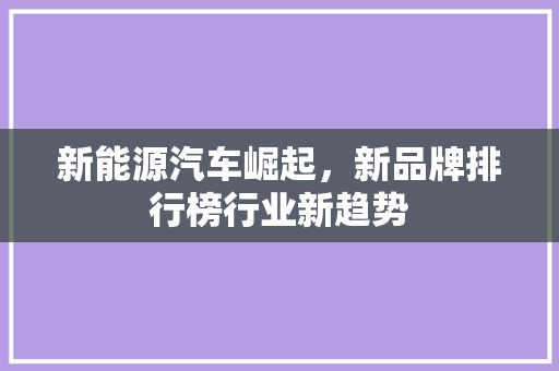 新能源汽车崛起，新品牌排行榜行业新趋势