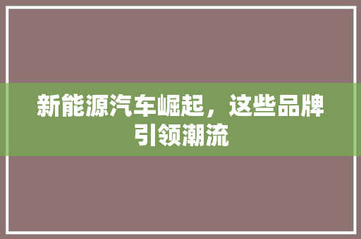 新能源汽车崛起，这些品牌引领潮流