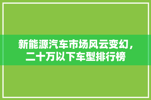 新能源汽车市场风云变幻，二十万以下车型排行榜