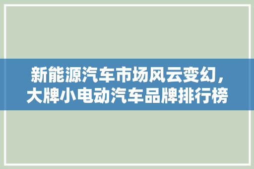 新能源汽车市场风云变幻，大牌小电动汽车品牌排行榜揭晓