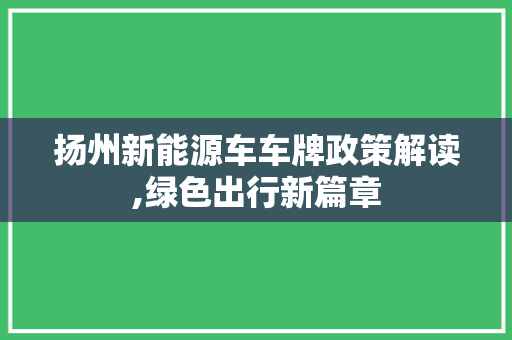 扬州新能源车车牌政策解读,绿色出行新篇章