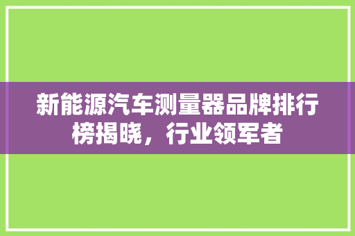新能源汽车测量器品牌排行榜揭晓，行业领军者