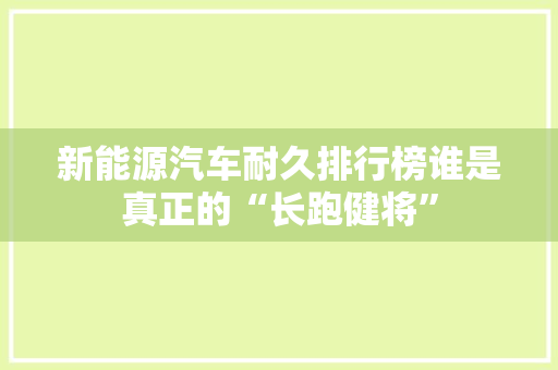 新能源汽车耐久排行榜谁是真正的“长跑健将”