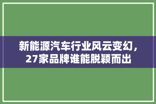 新能源汽车行业风云变幻，27家品牌谁能脱颖而出
