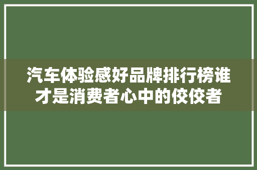 汽车体验感好品牌排行榜谁才是消费者心中的佼佼者