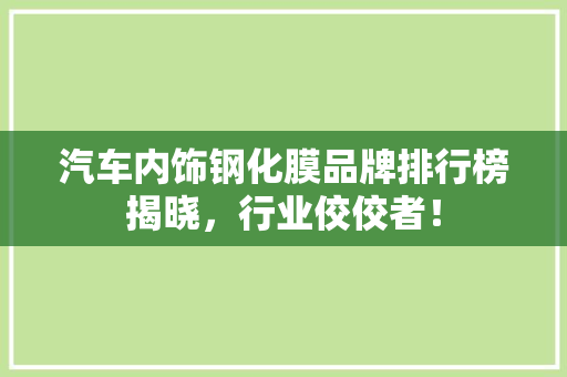 汽车内饰钢化膜品牌排行榜揭晓，行业佼佼者！