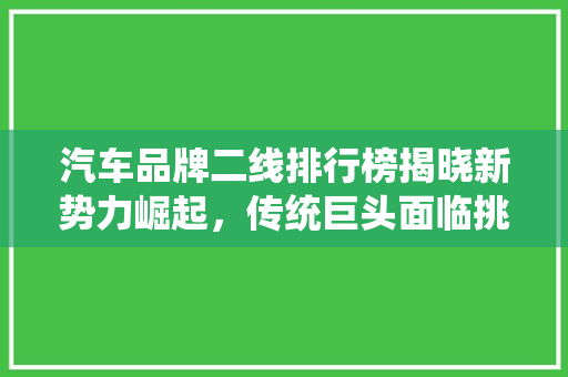 汽车品牌二线排行榜揭晓新势力崛起，传统巨头面临挑战
