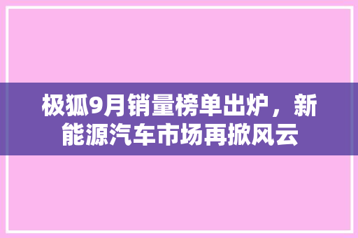 极狐9月销量榜单出炉，新能源汽车市场再掀风云