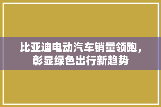 比亚迪电动汽车销量领跑，彰显绿色出行新趋势