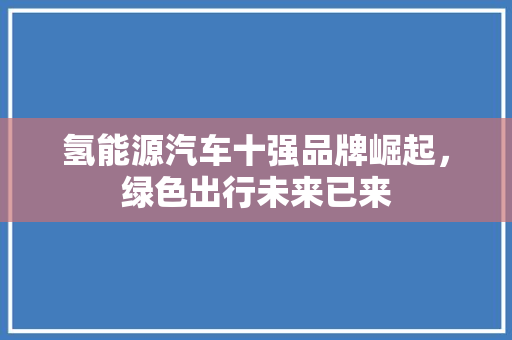 氢能源汽车十强品牌崛起，绿色出行未来已来