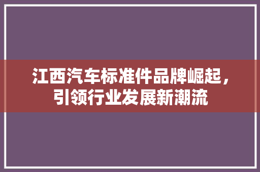江西汽车标准件品牌崛起，引领行业发展新潮流