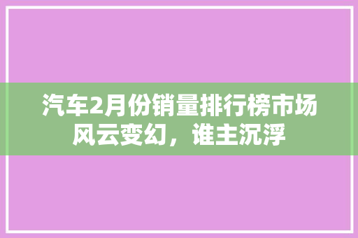 汽车2月份销量排行榜市场风云变幻，谁主沉浮