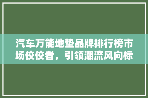 汽车万能地垫品牌排行榜市场佼佼者，引领潮流风向标