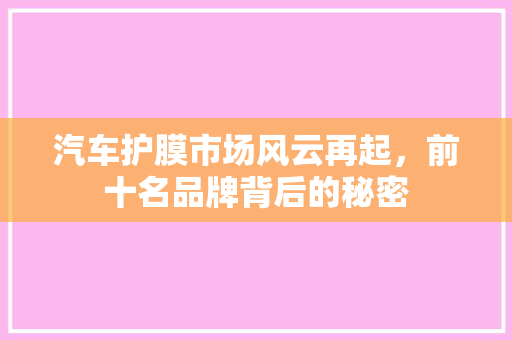 汽车护膜市场风云再起，前十名品牌背后的秘密