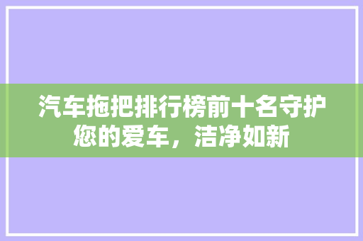 汽车拖把排行榜前十名守护您的爱车，洁净如新