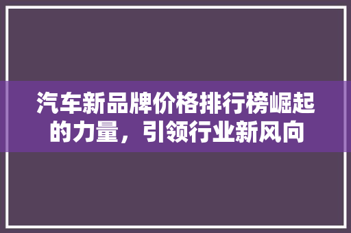 汽车新品牌价格排行榜崛起的力量，引领行业新风向