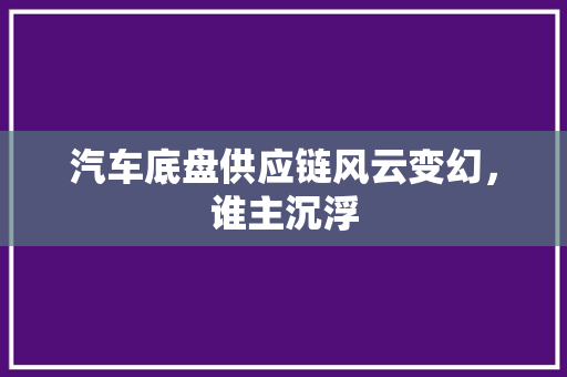汽车底盘供应链风云变幻，谁主沉浮