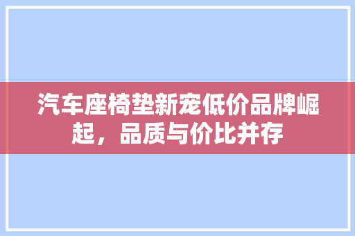 汽车座椅垫新宠低价品牌崛起，品质与价比并存