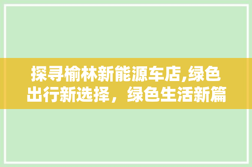 探寻榆林新能源车店,绿色出行新选择，绿色生活新篇章